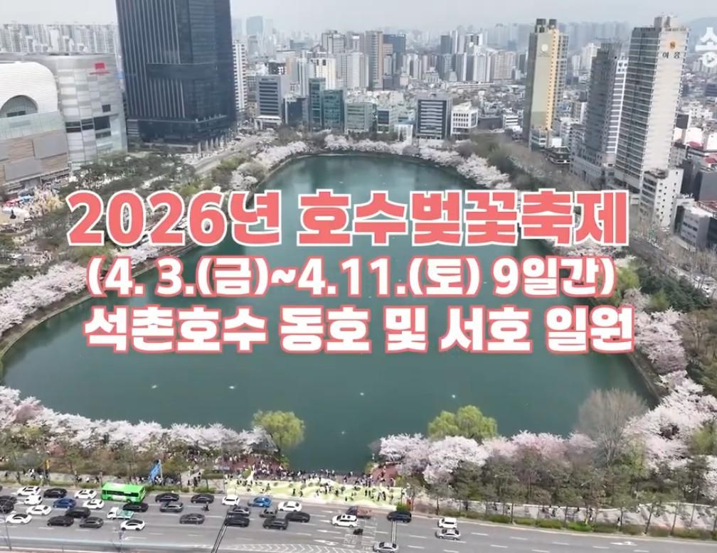 2026 전국 벚꽃 개화시기 & 송파 석촌호수 벚꽃 축제 현황
